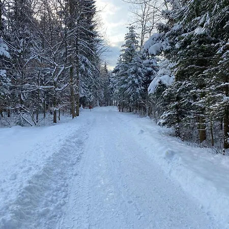 Haus Holly Inkl. Chiemgaukarte Vakantiehuis Ruhpolding