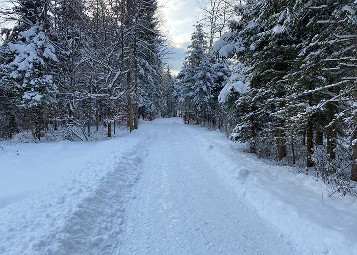 Haus Holly Inkl. Chiemgaukarte Nyaraló Ruhpolding
